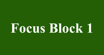 Focus Block 1